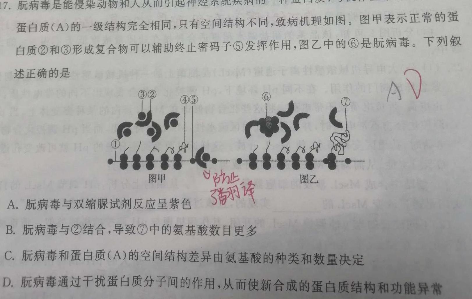 山西省2024年中考模拟示范卷（二）生物学部分