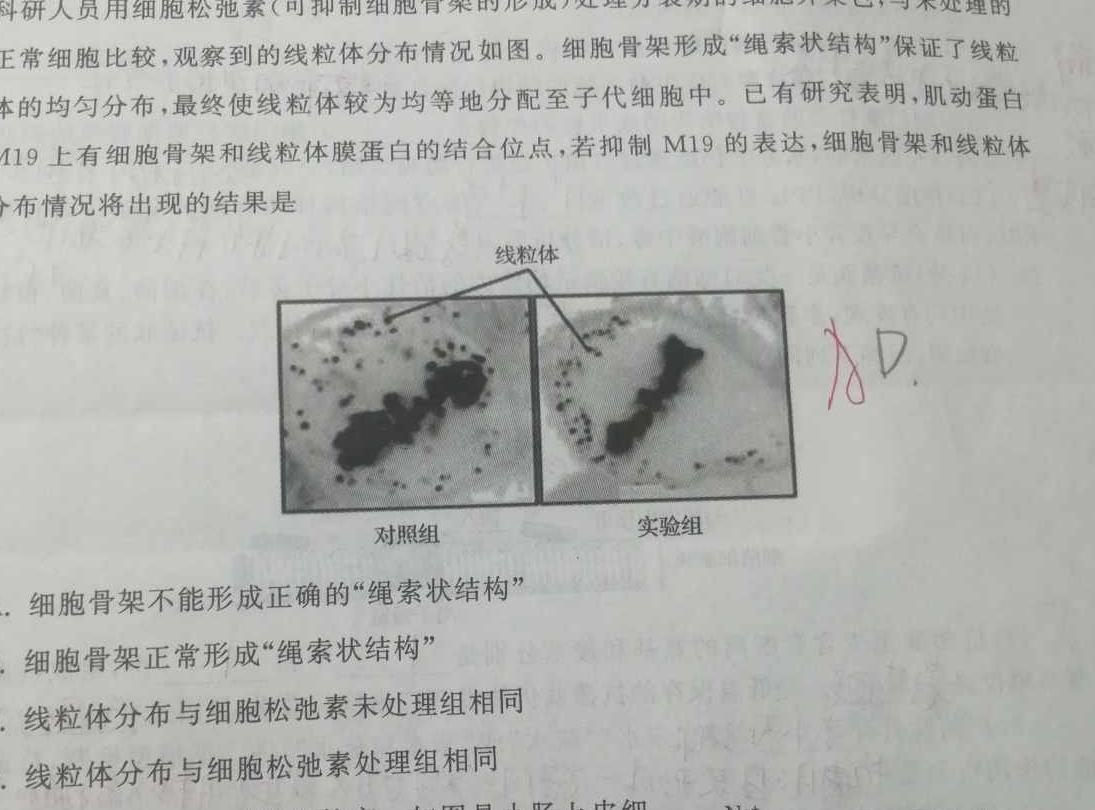 学普试卷 2024届高三第一次·信息调研卷(一)生物学部分