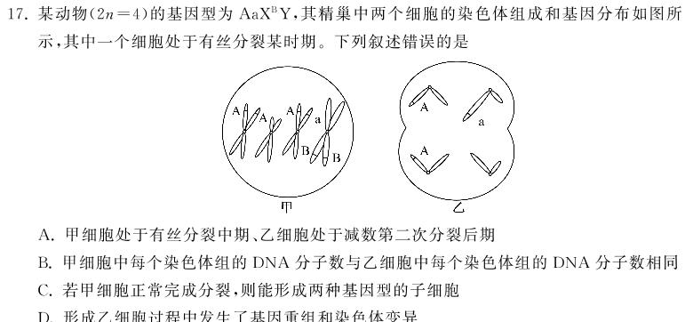 山东省潍坊市2023-2024学年下学期期末考试（高二年级）生物