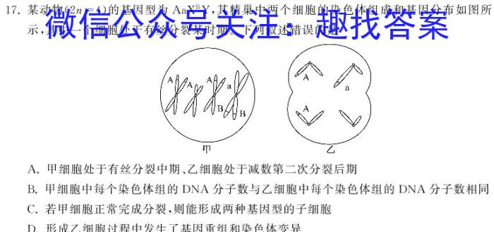 洛阳市2024年中招模拟考试(一)生物学试题答案