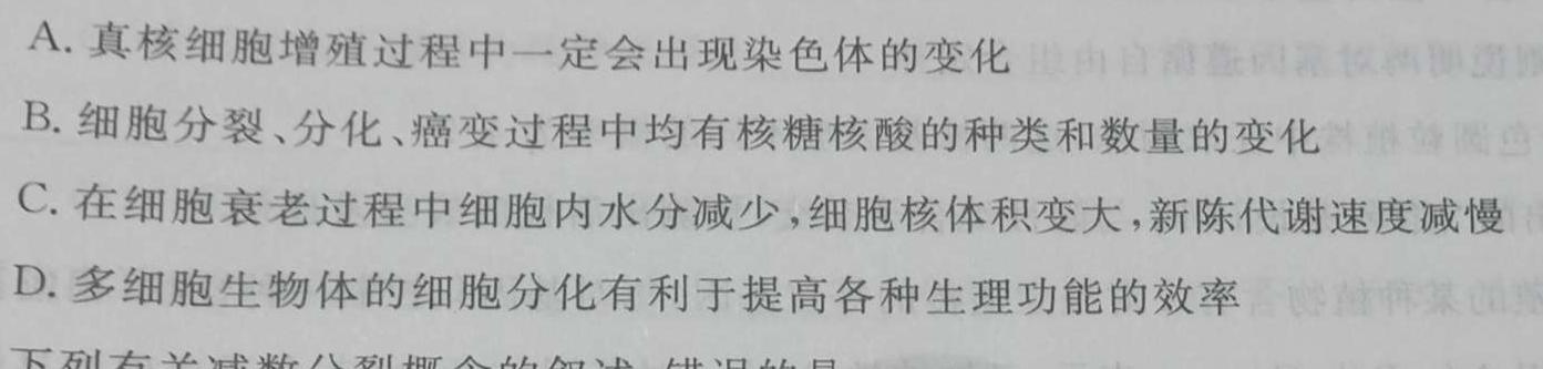 [怀化二模]湖南省怀化市2024年上期高三二模考试生物