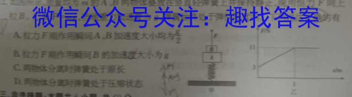 安徽省十联考 合肥一中2024~2025学年度高二上学期期中联考物理试题答案