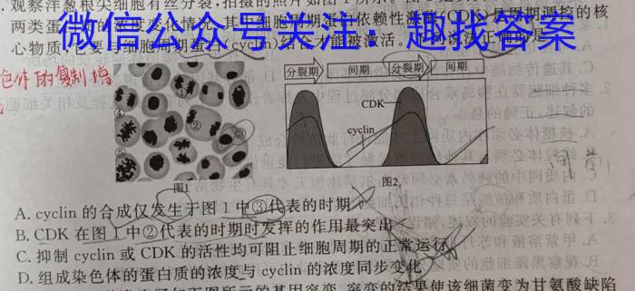 贵阳市六校2024届高三年级联合考试（一）生物学试题答案