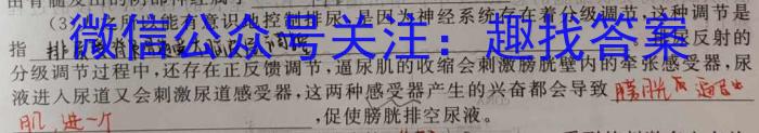 江西省吉安某中学2023-2024学年度第二学期七年级期末质量检测生物学试题答案