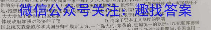 高考研究831重点课题项目 陕西省联盟学校2024年联考(4月)历史试卷