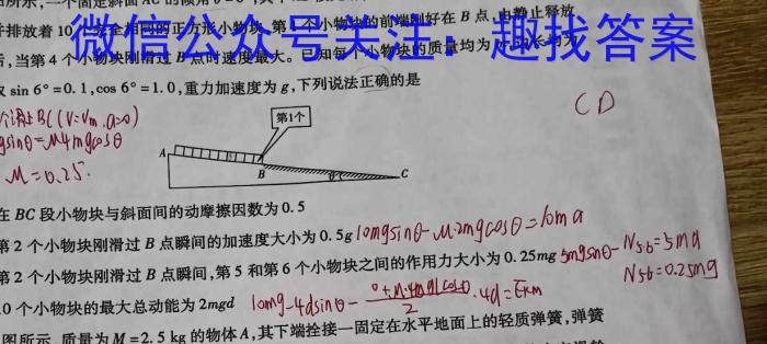 2024届耀正文化名校名师模拟卷(八)物理试卷答案