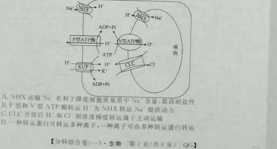 2024普通高等学校招生全国统一考试·冲刺押题卷(五)5生物