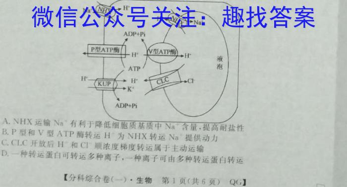 河南省许昌市XCS2024年第二次中招模拟考试试卷（八年级）生物学试题答案