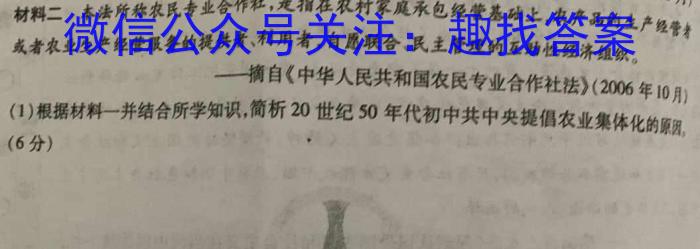 衡水金卷先享题调研卷2024答案(JJ·A)(三3)历史试卷答案