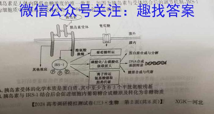 2024年普通高等学校招生伯乐马模拟考试(三)3生物学试题答案