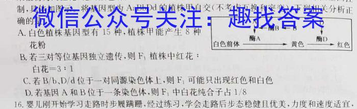 河北省2023~2024学年下学期高二年级第二次月考(242848D)生物学试题答案