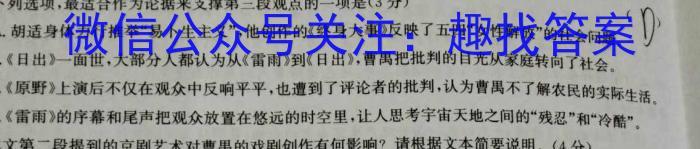 安徽省萧县四校联考2024届九年级纠错练习（1.03）/语文