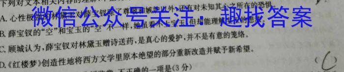 安徽省2024届九年级（无标题）/语文