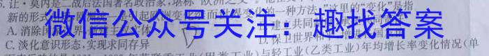 衡水金卷2024版先享卷答案分科综合卷(福建专版)二历史试卷答案