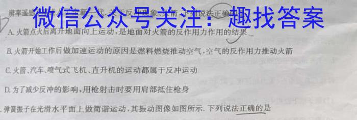 天一大联考 河南省2023-2024学年九年级学业水平诊断(二)物理试卷答案