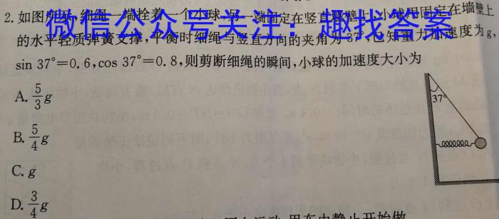 2024年湖南省高三名校联考模拟卷(二)(2024.5.21)物理`