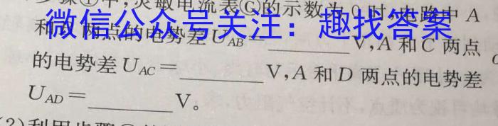 2024年学考总复习·试题猜想·九年级（一）物理试题答案