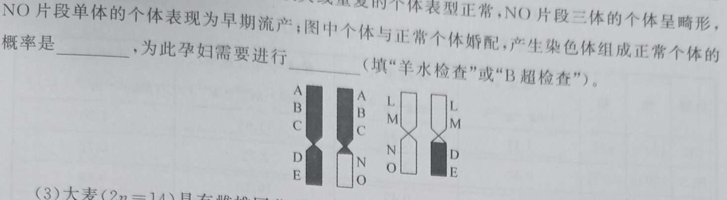 河北省2023~2024学年高二期末质量检测卷(242957D)生物