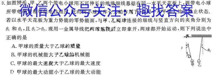 新向标教育 淘金卷2024年普通高等学校招生考试模拟金卷(一)物理`