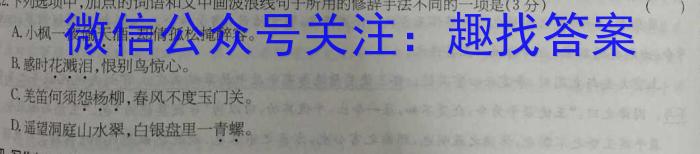 陕西省咸阳市永寿县中学2024年高三质量检测卷(24474C)/语文