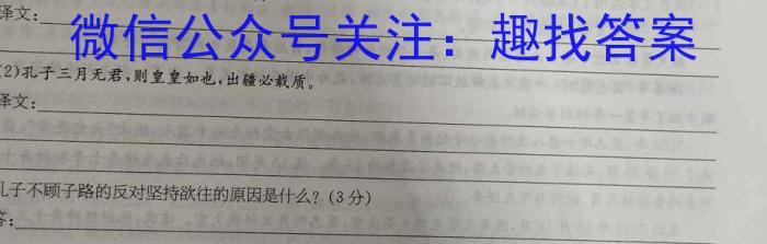 ☆河北省2023-2024学年九年级第四次学情评估语文