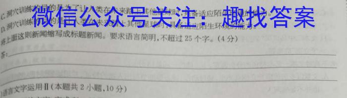 衡中同卷 2024届 信息卷(四)4语文