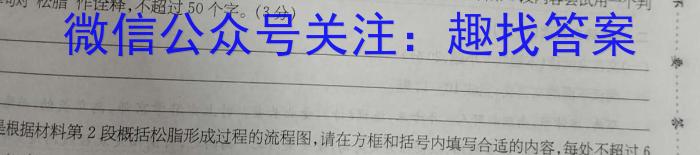 陕西省大荔县2023-2024学年(下)高二年级期末质量检测语文