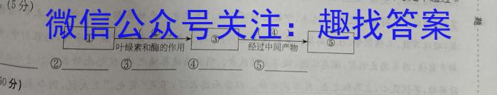 天一大联考 湖南省2024届高二4月联考语文