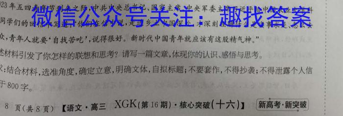 2024年普通高等学校招生全国统一考试 名校联盟·模拟信息卷(T8联盟)(二)2/语文