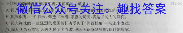 湖南省2024届新高考教学教研联盟高三2月联考语文