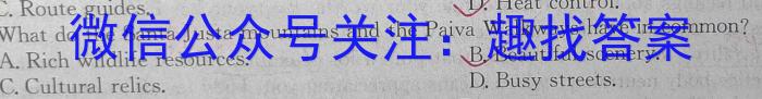 山东名校考试联盟2023年12月高三年级阶段性检测英语