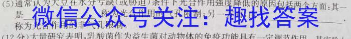 吉林省扶余市睿博实验高级中学2023~2024高二上学期期末考试(242464D)生物学试题答案