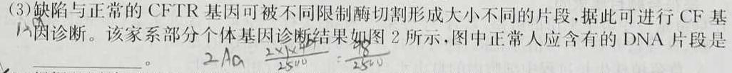 2024年银川一中、昆明一中高三联合考试二模(5.10)生物学试题答案