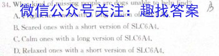 百师联盟 2024届高三冲刺卷(三)3 广东卷英语试卷答案