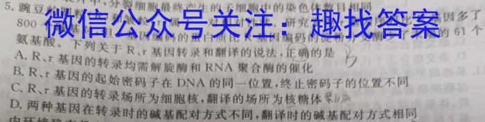 湖南省怀化市雅礼实验学校2023-2024学年九年级上学期入学考试生物学试题答案