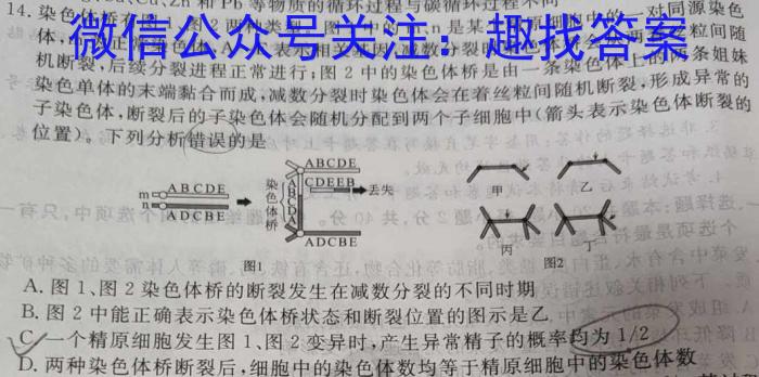 2024届高三5月冲刺压轴大联考生物学试题答案