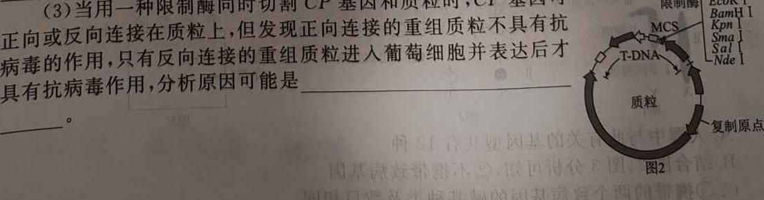 四川省九市联考2023-2024学年度高一年级上学期1月联考生物学试题答案