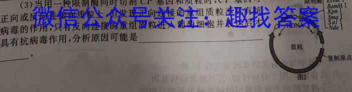 2024年普通高等学校招生全国统一考试模拟金卷(六)6生物学试题答案