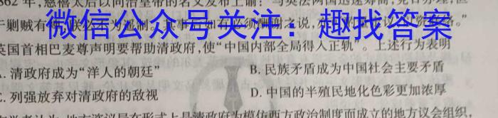 2024年普通高等学校招生统一考试模拟信息卷(123456)历史