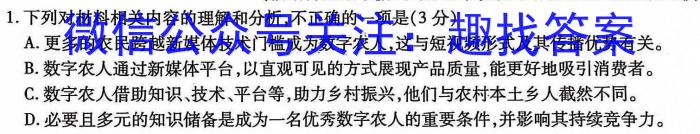 衡水金卷2024版先享卷答案信息卷全国卷 一/语文