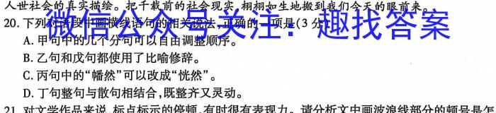 安徽省宿州市省、市示范高中2023-2024学年度高一第一学期期末教学质量检测/语文