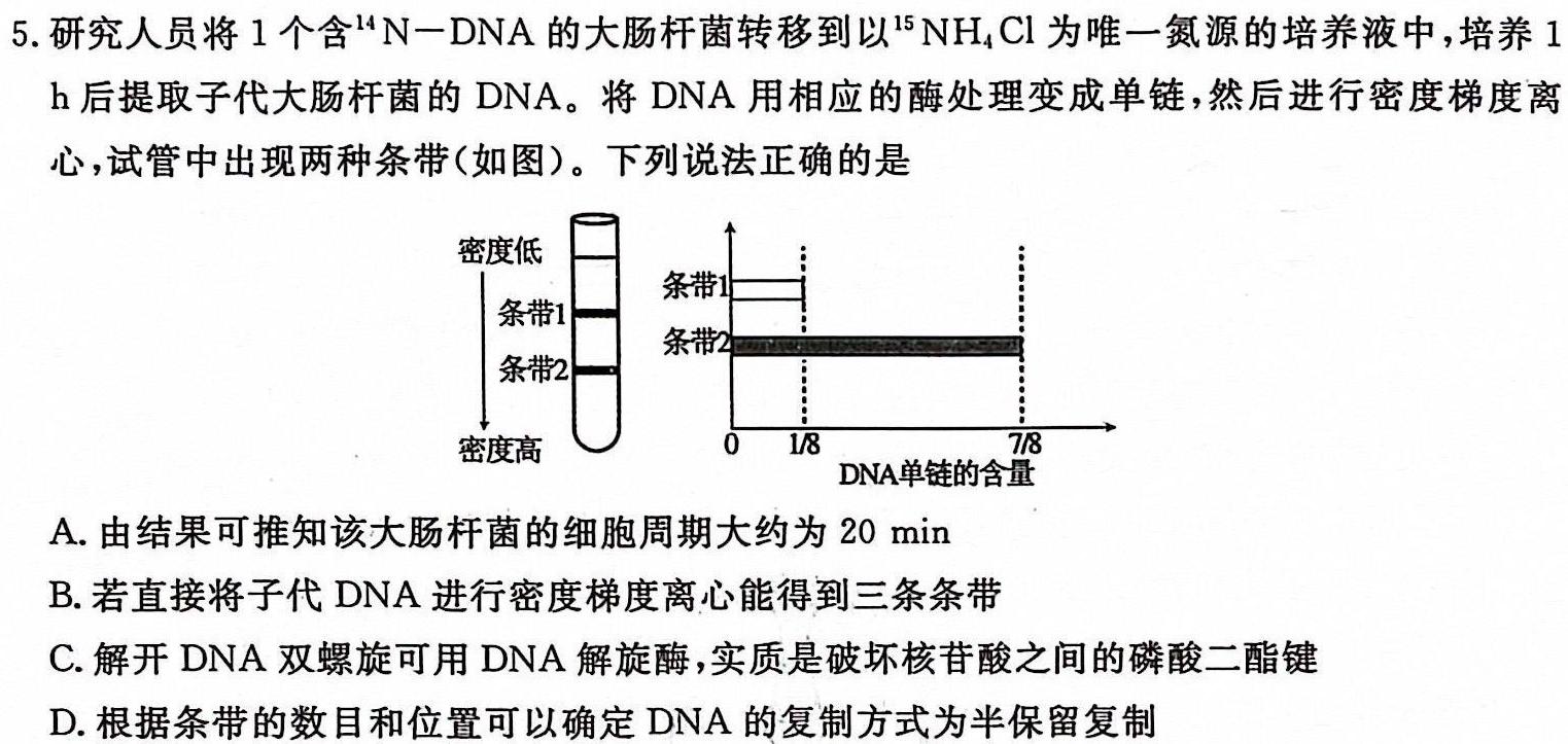 山东省烟台市2023-2024学年度第一学期高三期末学业水平诊断生物学部分