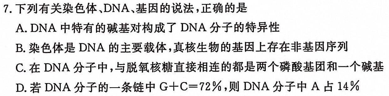 衡中同卷 2024语数英第一次模拟联合检测(新高考)生物学试题答案