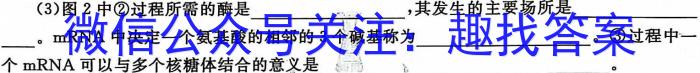 山西省太原37中2023-2024学年八年级阶段练习（二）生物学试题答案