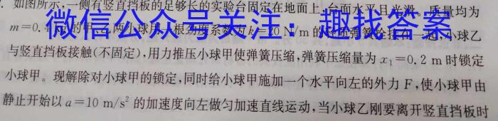 合肥名卷·准向题·安徽省2024年九年级春季学科素养联考物理试卷答案