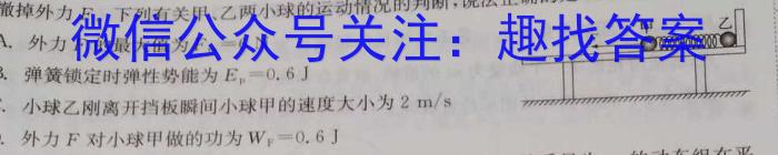 江西省吉安市十校联考2023-2024学年八年级第二学期期中考物理试卷答案