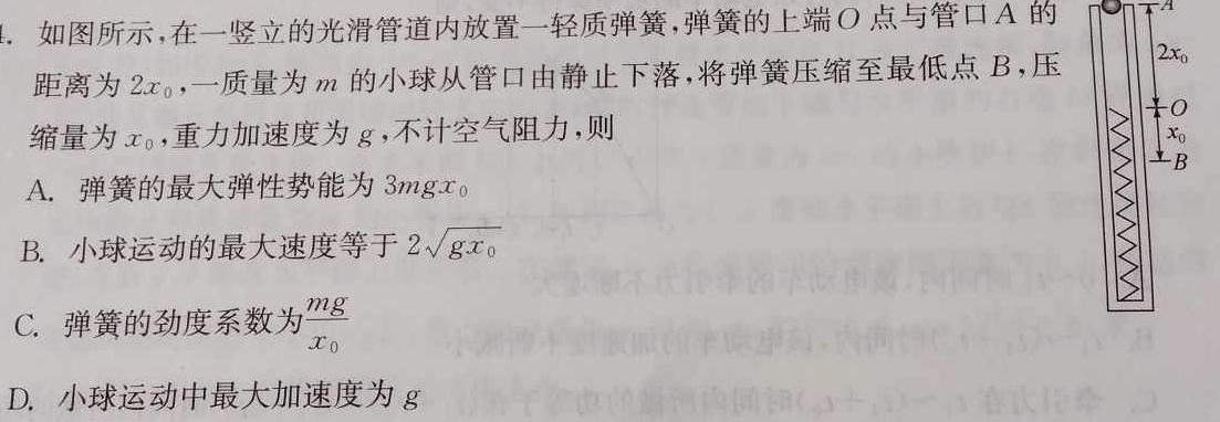 [今日更新]安徽省利辛县2023-2024学年第二学期七年级开学考试.物理试卷答案