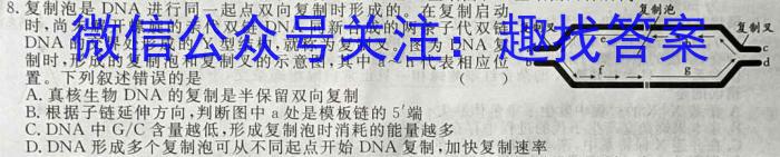 河南省2023-2024学年高中毕业班阶段性测试（五）生物学试题答案