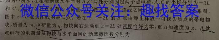 河北省2023-2024学年度八年级结课评估 4L R物理试卷答案