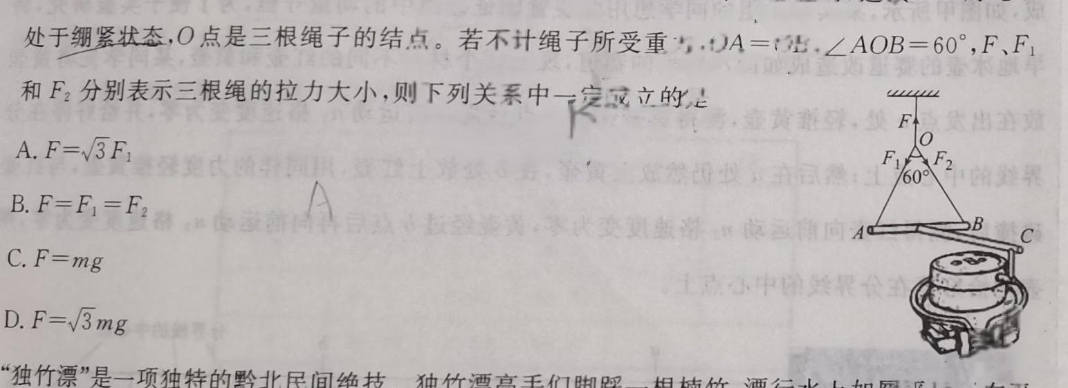 2023学年第二学期高一年级浙南名校联盟寒假返校联考物理试题.